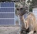 Previous off grid solar power projects