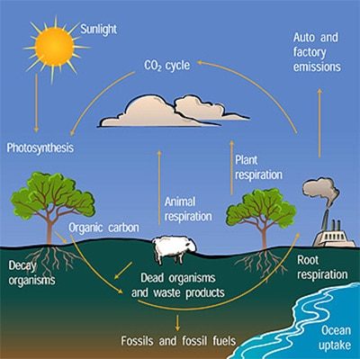 Solar And Coal Energy: Similarities And Differences